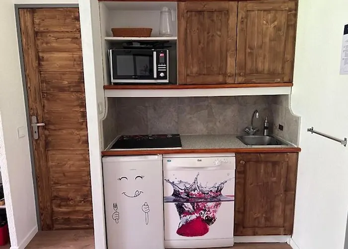 Appartamento Accessible 4 Pers, Balcon Sud-ouest, Animaux Admis - Fr-1-353-45 *